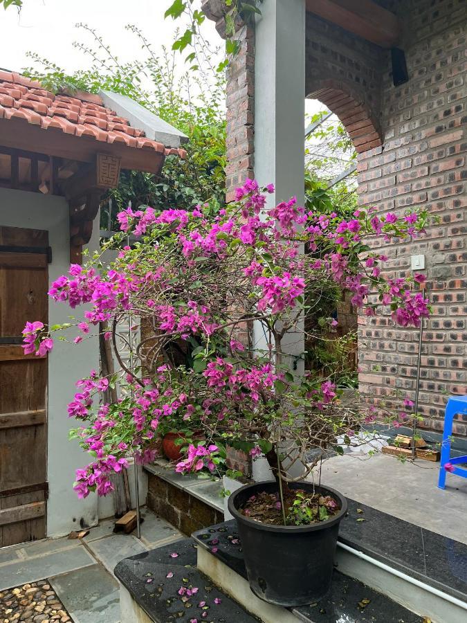 Duong Lam Village Son Tay المظهر الخارجي الصورة